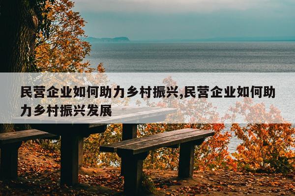 民营企业如何助力乡村振兴,民营企业如何助力乡村振兴发展