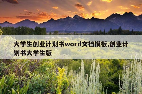 大学生创业计划书word文档模板,创业计划书大学生版