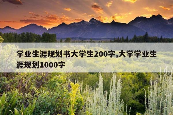 学业生涯规划书大学生200字,大学学业生涯规划1000字