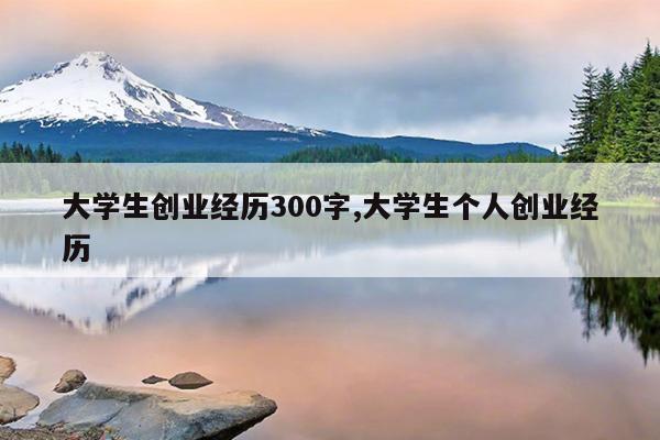 大学生创业经历300字,大学生个人创业经历