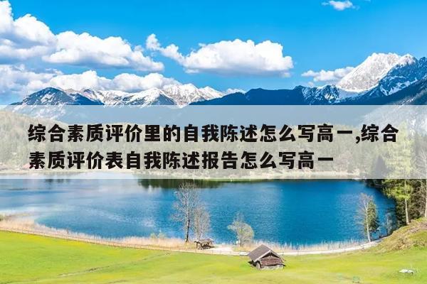 综合素质评价里的自我陈述怎么写高一,综合素质评价表自我陈述报告怎么写高一