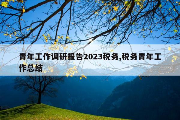 青年工作调研报告2023税务,税务青年工作总结