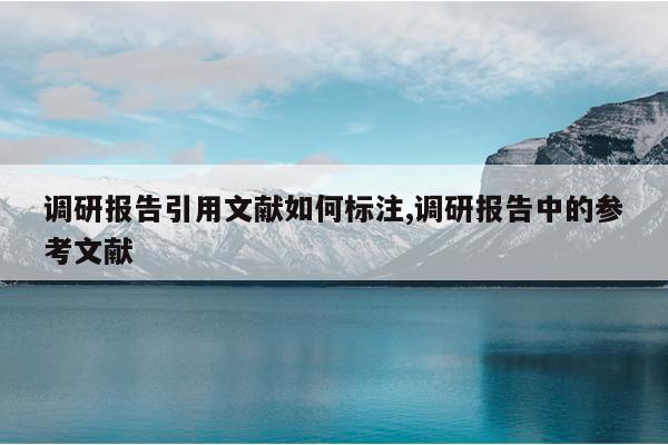调研报告引用文献如何标注,调研报告中的参考文献