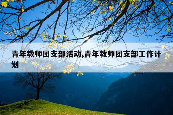 青年教师团支部活动,青年教师团支部工作计划