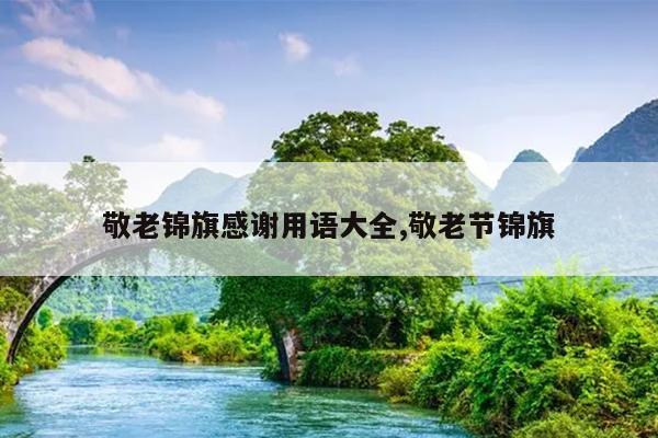 敬老锦旗感谢用语大全,敬老节锦旗