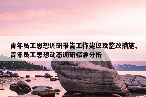 青年员工思想调研报告工作建议及整改措施,青年员工思想动态调研精准分析
