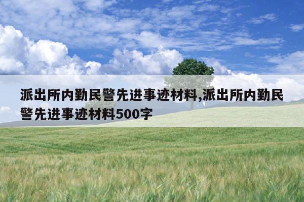 派出所内勤民警先进事迹材料,派出所内勤民警先进事迹材料500字