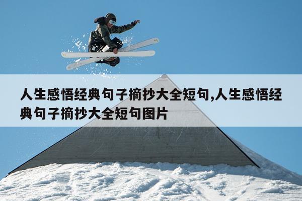 人生感悟经典句子摘抄大全短句,人生感悟经典句子摘抄大全短句图片
