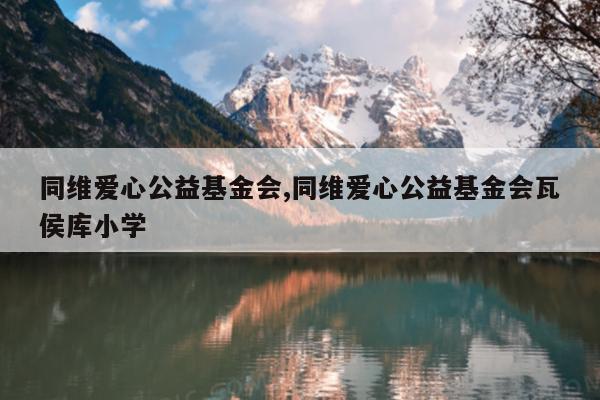 同维爱心公益基金会,同维爱心公益基金会瓦侯库小学