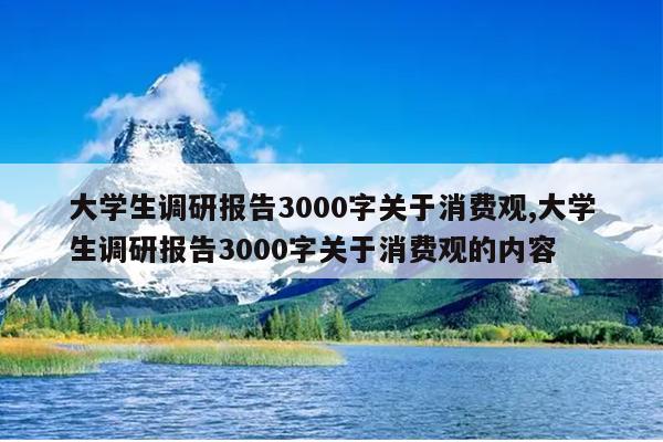 大学生调研报告3000字关于消费观,大学生调研报告3000字关于消费观的内容