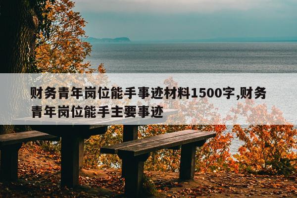 财务青年岗位能手事迹材料1500字,财务青年岗位能手主要事迹