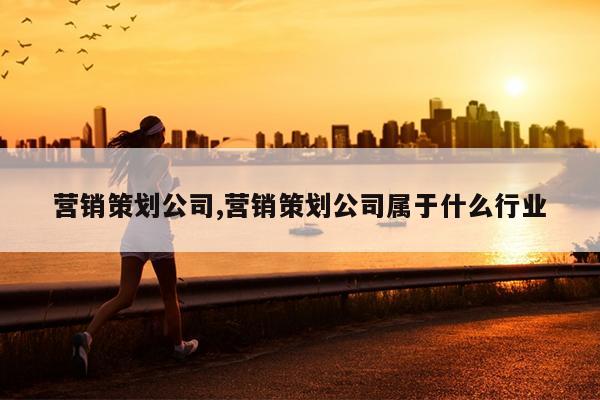 营销策划公司,营销策划公司属于什么行业