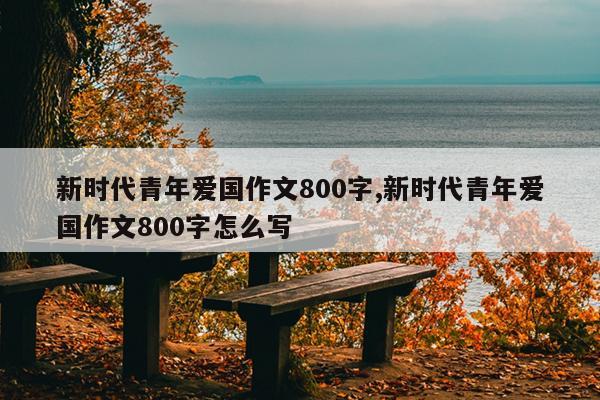 新时代青年爱国作文800字,新时代青年爱国作文800字怎么写