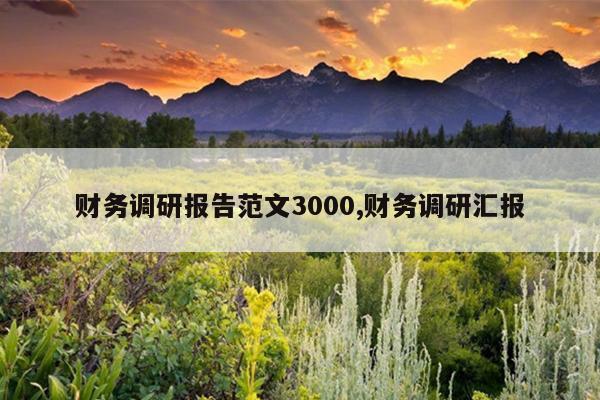 财务调研报告范文3000,财务调研汇报