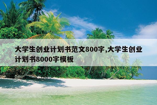 大学生创业计划书范文800字,大学生创业计划书8000字模板