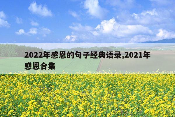 2022年感恩的句子经典语录,2021年感恩合集