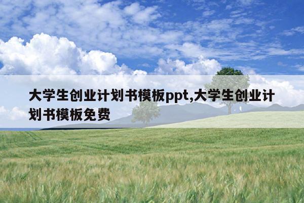 大学生创业计划书模板ppt,大学生创业计划书模板免费