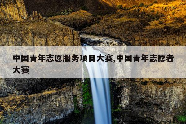 中国青年志愿服务项目大赛,中国青年志愿者大赛