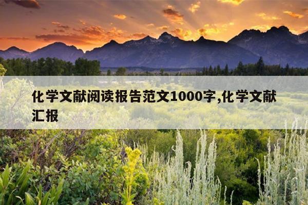 化学文献阅读报告范文1000字,化学文献汇报