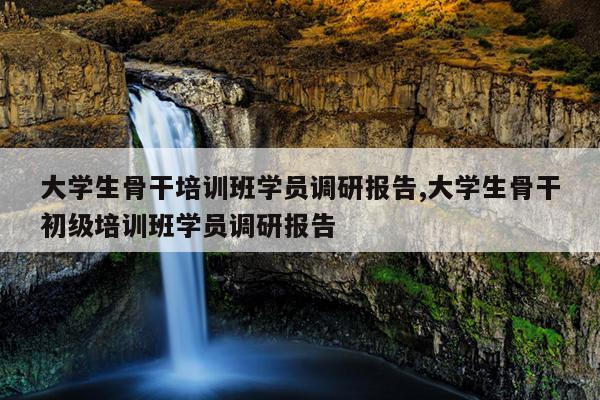 大学生骨干培训班学员调研报告,大学生骨干初级培训班学员调研报告