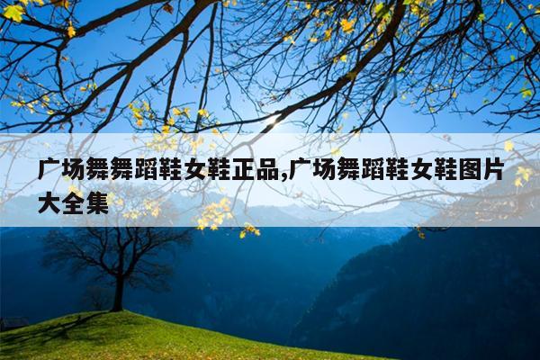 广场舞舞蹈鞋女鞋正品,广场舞蹈鞋女鞋图片大全集
