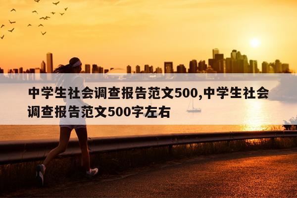 中学生社会调查报告范文500,中学生社会调查报告范文500字左右
