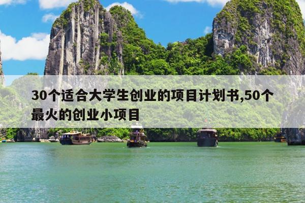 30个适合大学生创业的项目计划书,50个最火的创业小项目