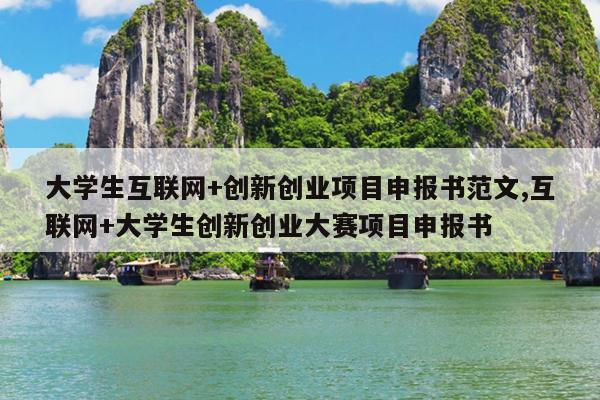 大学生互联网+创新创业项目申报书范文,互联网+大学生创新创业大赛项目申报书