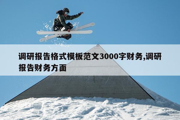 调研报告格式模板范文3000字财务,调研报告财务方面
