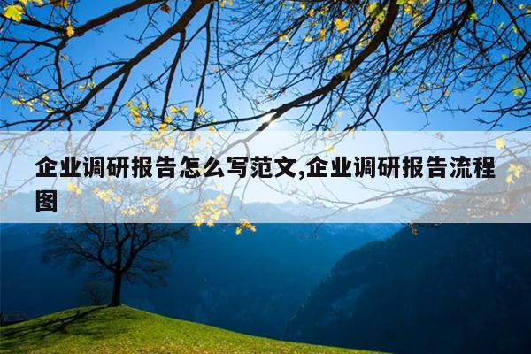 企业调研报告怎么写范文,企业调研报告流程图