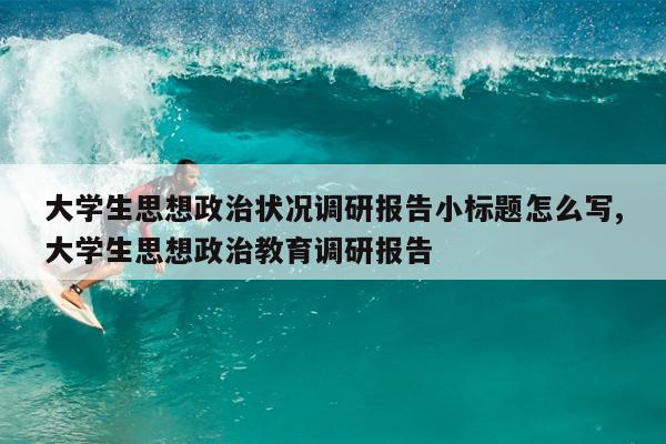大学生思想政治状况调研报告小标题怎么写,大学生思想政治教育调研报告