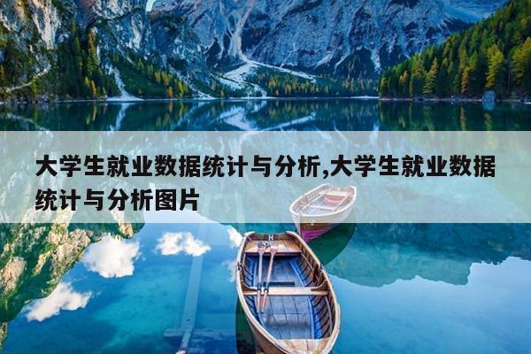 大学生就业数据统计与分析,大学生就业数据统计与分析图片