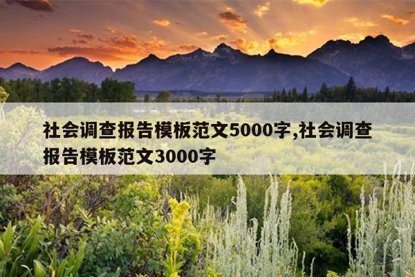 社会调查报告模板范文5000字,社会调查报告模板范文3000字