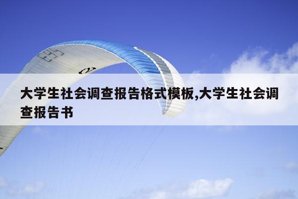 大学生社会调查报告格式模板,大学生社会调查报告书