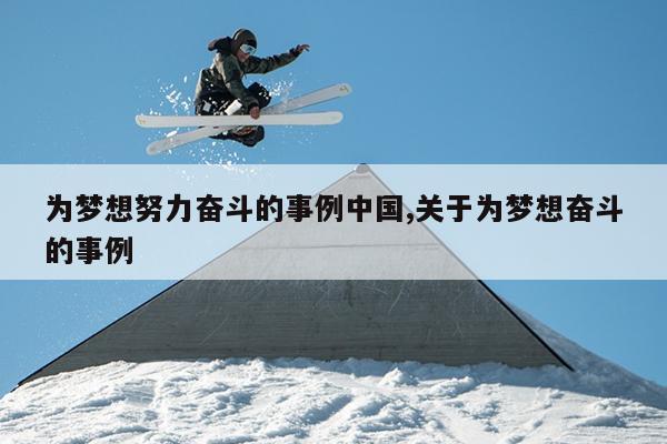 为梦想努力奋斗的事例中国,关于为梦想奋斗的事例