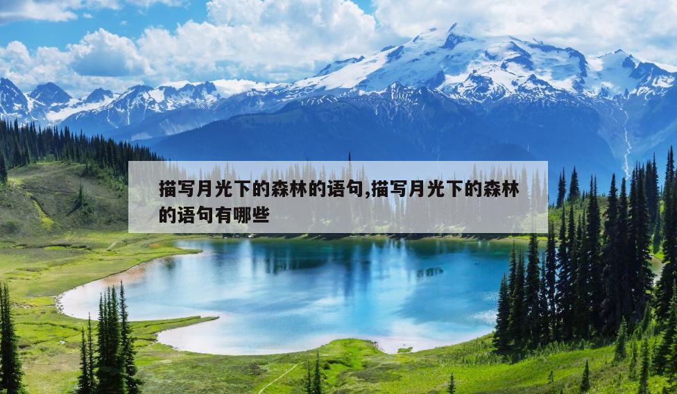 描写月光下的森林的语句,描写月光下的森林的语句有哪些