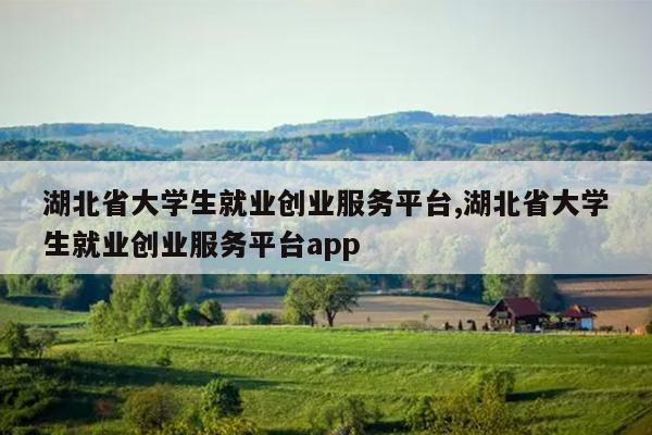 湖北省大学生就业创业服务平台,湖北省大学生就业创业服务平台app