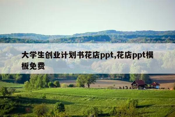 大学生创业计划书花店ppt,花店ppt模板免费