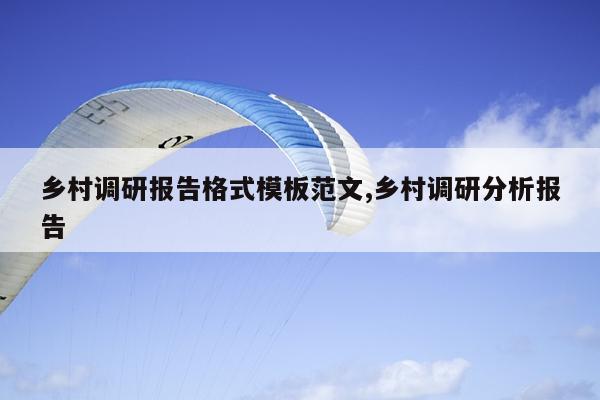 乡村调研报告格式模板范文,乡村调研分析报告