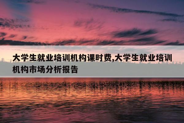 大学生就业培训机构课时费,大学生就业培训机构市场分析报告