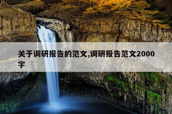 关于调研报告的范文,调研报告范文2000字