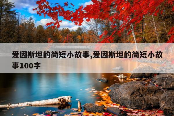 爱因斯坦的简短小故事,爱因斯坦的简短小故事100字