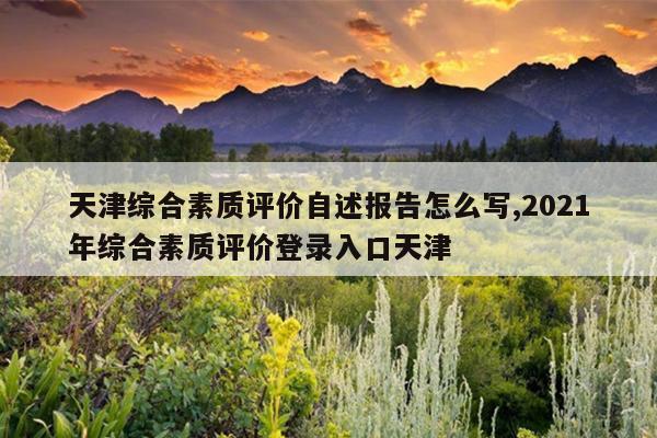 天津综合素质评价自述报告怎么写,2021年综合素质评价登录入口天津