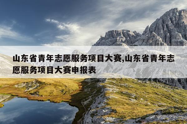 山东省青年志愿服务项目大赛,山东省青年志愿服务项目大赛申报表