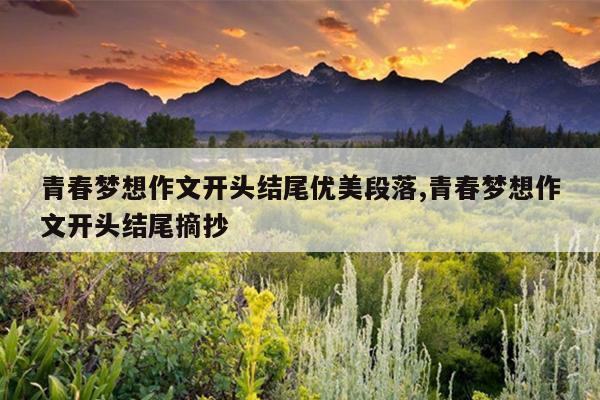 青春梦想作文开头结尾优美段落,青春梦想作文开头结尾摘抄