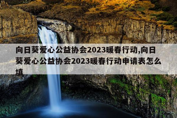向日葵爱心公益协会2023暖春行动,向日葵爱心公益协会2023暖春行动申请表怎么填