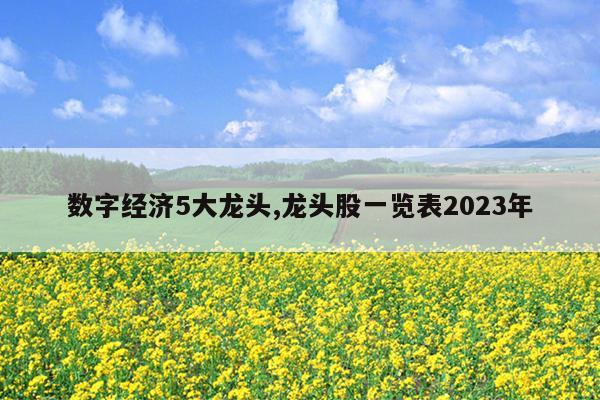 数字经济5大龙头,龙头股一览表2023年