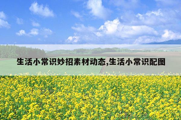 生活小常识妙招素材动态,生活小常识配图