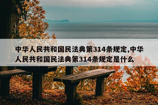 中华人民共和国民法典第314条规定,中华人民共和国民法典第314条规定是什么