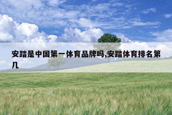 安踏是中国第一体育品牌吗,安踏体育排名第几